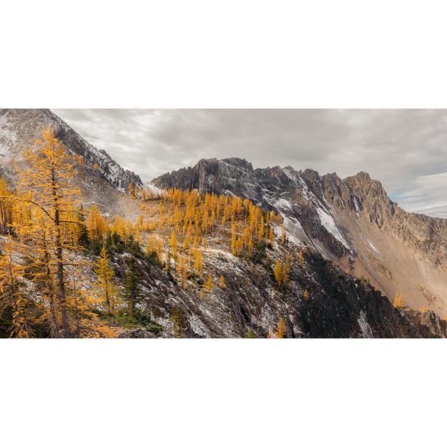 Frosty Mountain Trail