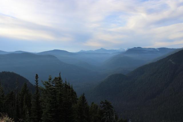 Heather Trail