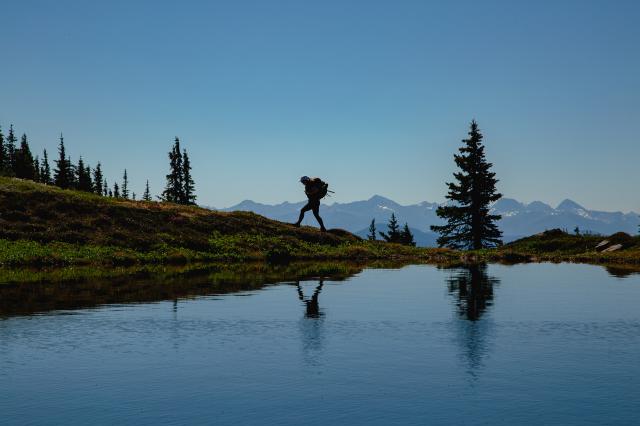 Heather Trail