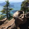 Howe Sound Crest Trail