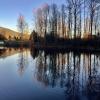 Coquitlam Town Centre Park Trail