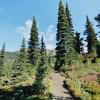 Panorama Ridge Trail