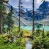 Joffre Lakes