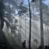 Howe Sound Crest Trail