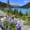 Joffre lakes