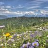 Iceberg Lake to the Screaming. Cat Lake Trail ...loop trail