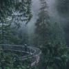 Capilano river trail