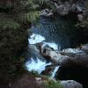 Lynn Canyon