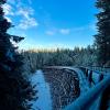 Cowichan Valley Trail - Kinsol Trestle