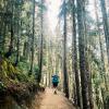 Garibaldi lake trail