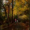 Thetis Lake Trail