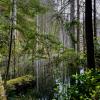 Smuggler Cove Marine Provincial Park