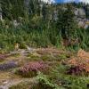 Mount Seymour