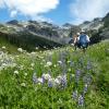 BRANDYWINE MEADOW TRAIL HEAD