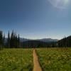 Alpine Meadows