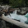 Cheakamus  River Trail