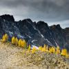 Frosty Mountain