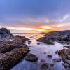 Ucluelet Lighthouse Loop