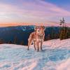 Brockton Peak via Pump Peak