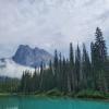 Emerald Lake Trail