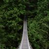 Lynn Canyon Suspension Bridge