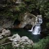 Lynn Canyon - Baden Powell Trail