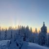 Mount Seymour Trail