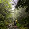 Golden Ears West Canyon Trail