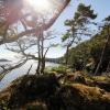 Sooke Regional Park