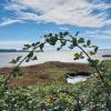 Mud Bay Park trail