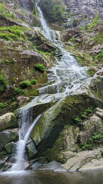 Floods Fall Trail