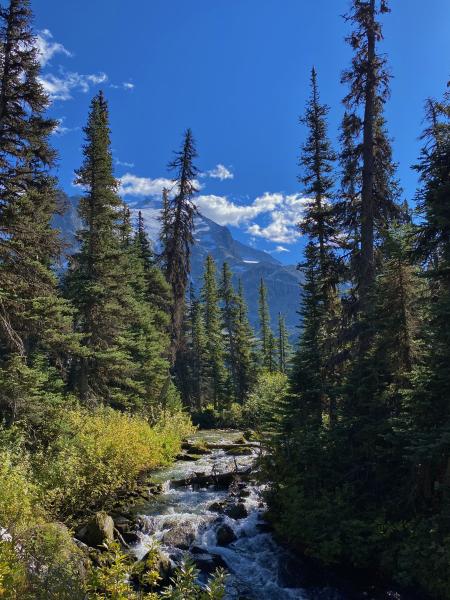 Joffre Lakes