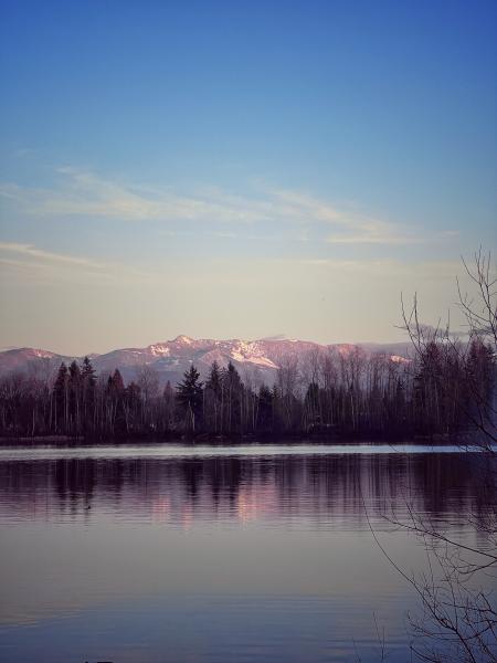 Mill Lake Park