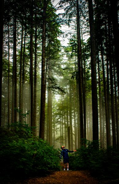 Big Cedar And Kennedy Falls Trail