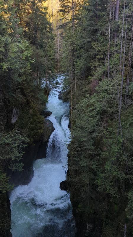 Lynn Canyon Trail