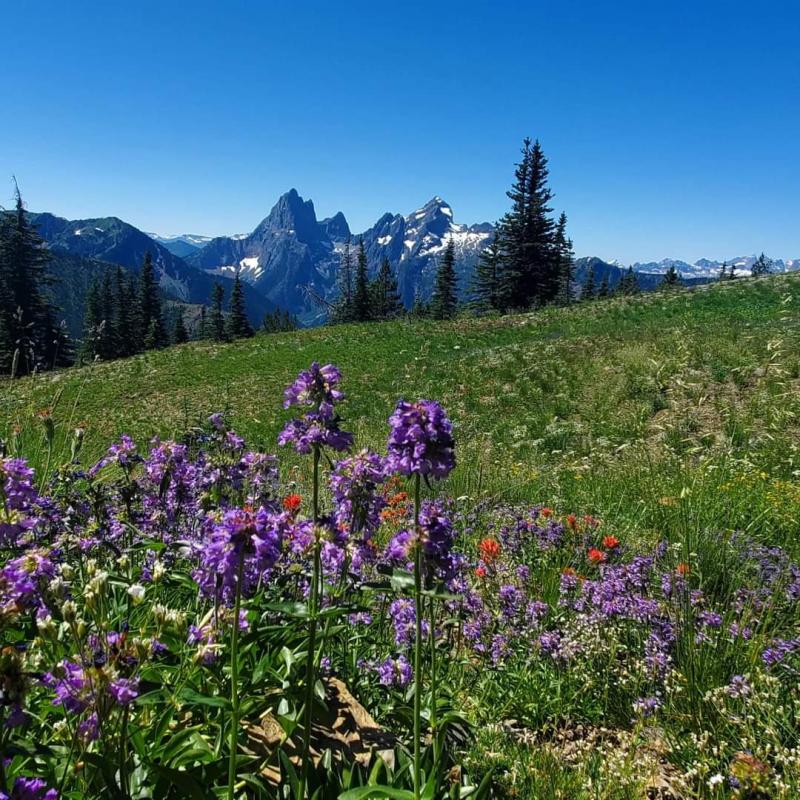 Skyline To Snow Camp/Lone Goat Mountain