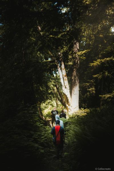 Nanaimo River Hatchery Trail