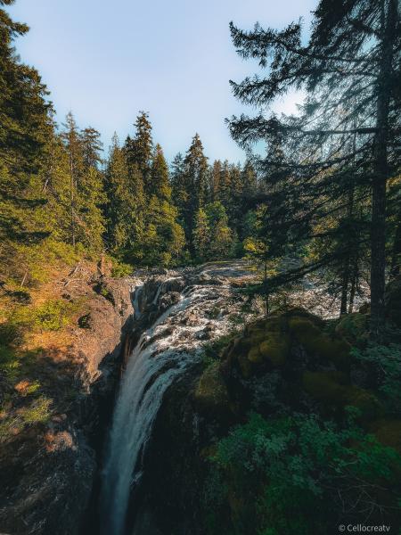 Englishman River Falls Hike