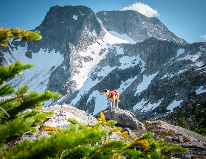 St.jacobs Peak