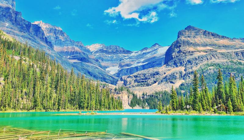 Lake O Hara