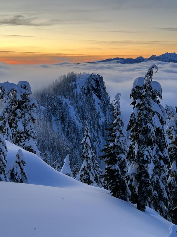 Mount Seymour Trail