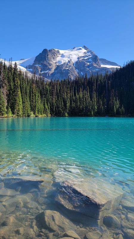 Joffre Lake Trail