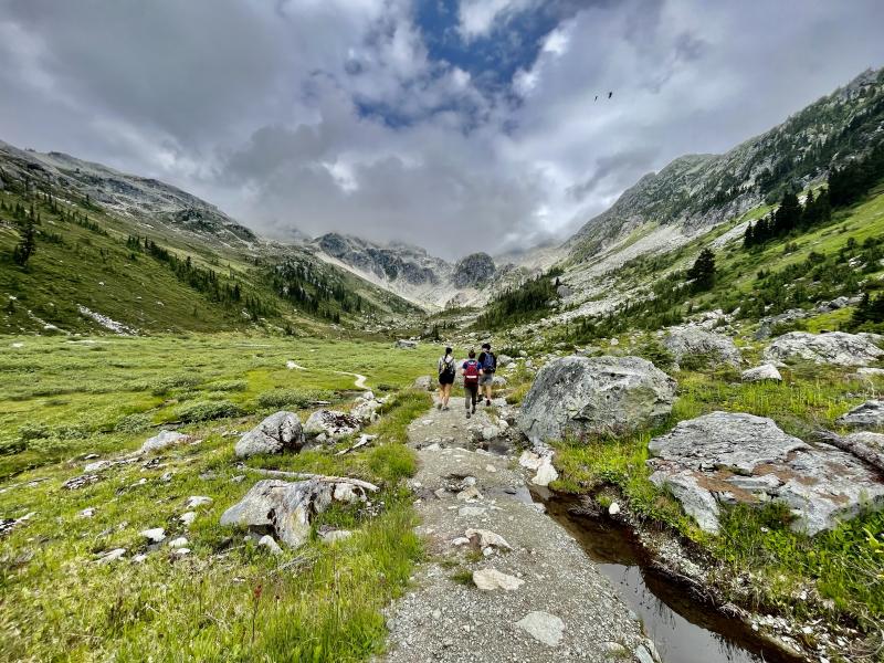 Brandywine Meadows