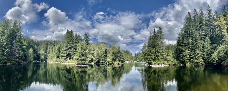 Rice Lake & Lynn Canyon Loop