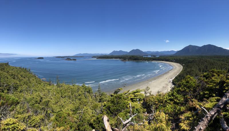 Cox Bay Lookout