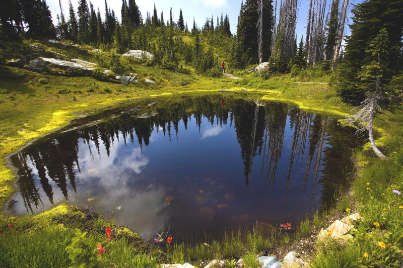 Balsam Lakes Trail