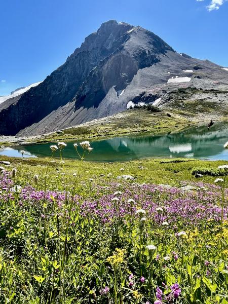 Kees And Claire Hut Via Singing Pass Trail