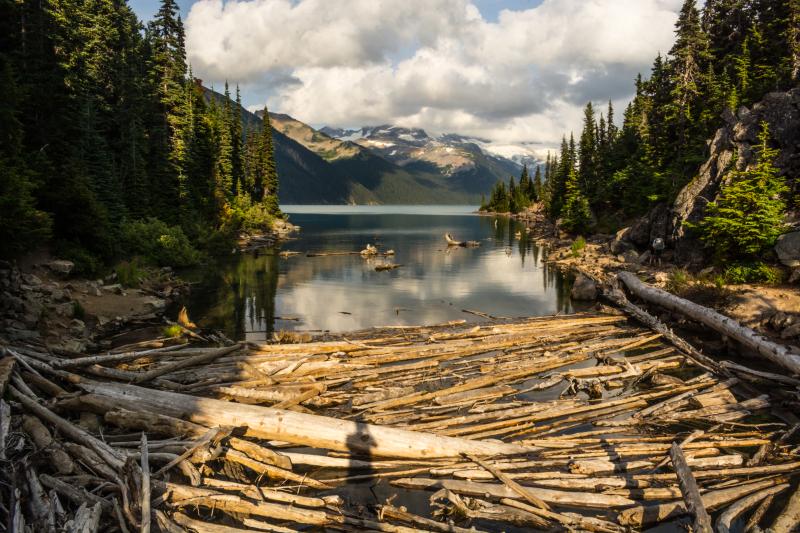 Panorama Ridge Trail