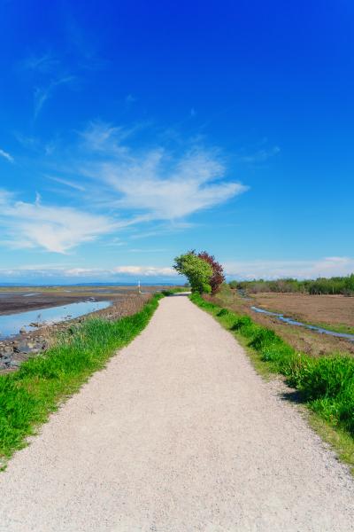 Boundary Bay Dyke Trail