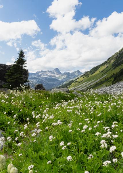 Mount Rohr Via Marriot Basin